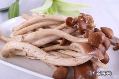 农村种什么能挣钱?哪些农作物市场大盈利多？