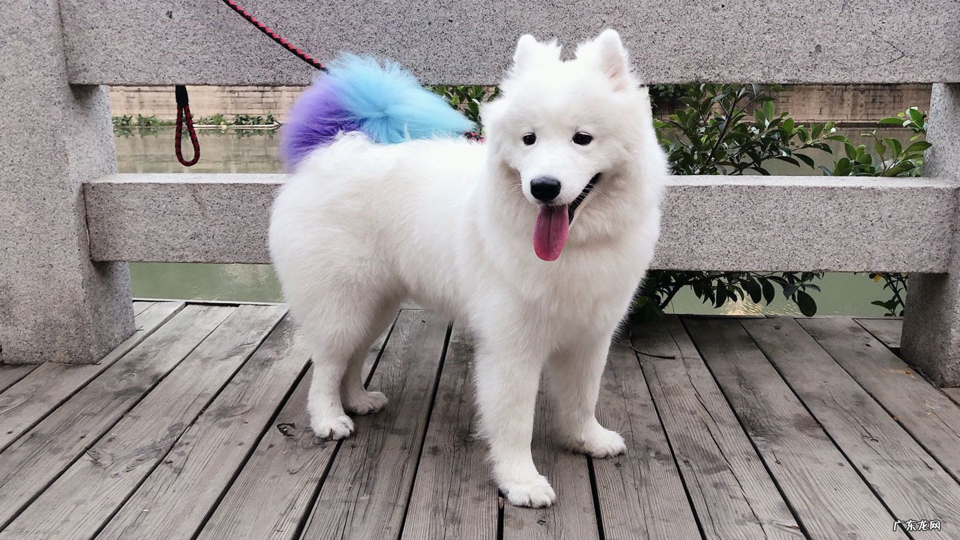 请问每天大量的喝水会减肥吗?