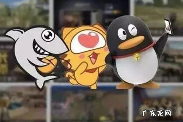 淘宝公益宝贝加权重吗?淘宝公益宝贝有什么用?