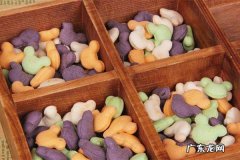 年轻人10大创业项目是哪些？哪些最适合年轻一代？