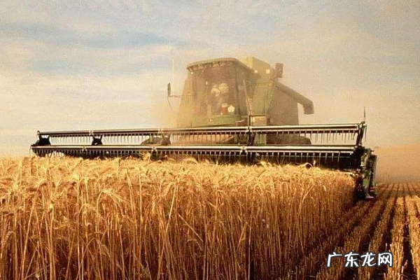 在农村卖什么需求量大？藏在农村17个暴利项目