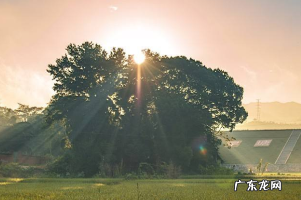 目前农村做啥生意致富?农村最缺什么生意?