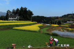 农村挣钱好项目有哪些？2019农村挣钱项目推荐
