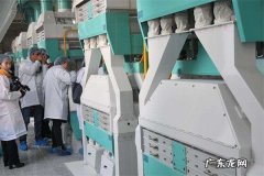 乡村暴利项目有哪些？什么小作坊利润大？