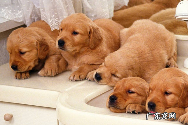 开什么店比较赚钱?适合没经验女性开的店