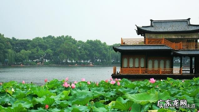 有没有关于描写荷花好的诗句推荐