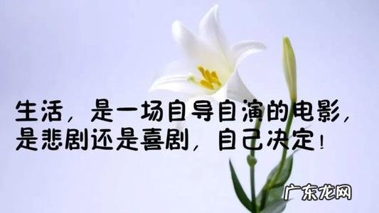 人生哲理的短文经典 经典人生哲理感悟短文