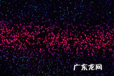 shopee物流怎么设置?送货要注意什么?