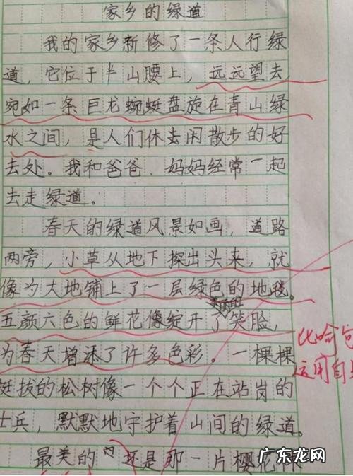 关于感动的作文开头摘抄大全 感动的作文结尾摘抄大全