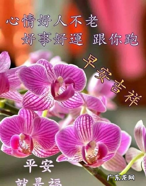 十一月份的祝福短语 十一月份的祝福