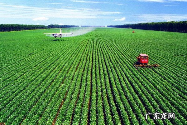 八个适宜在农村创业致富的项目分享，农村更适合干什么？