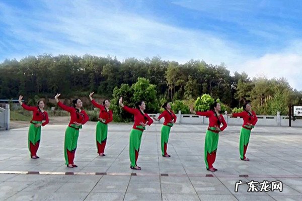 农村赚钱小项目有哪些?在乡村干什么更好？