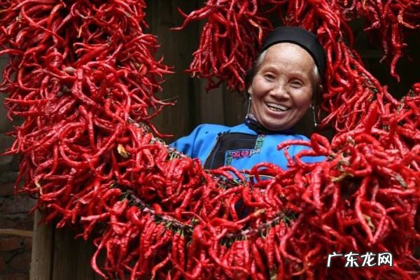 小型加工致富项目哪个好?都是怎么赚钱的？