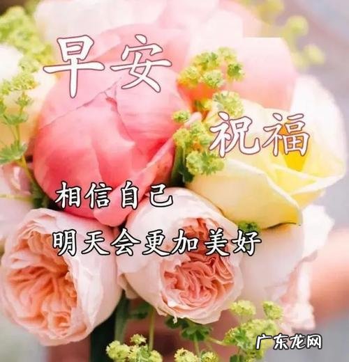 每日早安问候语微信 2021微信早安问候语