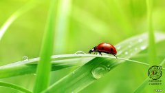 怎样才能防止冬天干燥的问题？