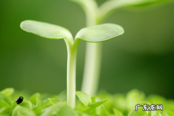 残疾人创业项目有哪些？适合残疾人的创业项目推荐