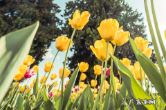 小投资赚钱项目有哪些？投资少挣钱快的好项目