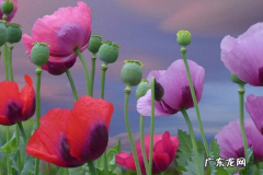 一万元怎么创业？一万元创业项目推荐