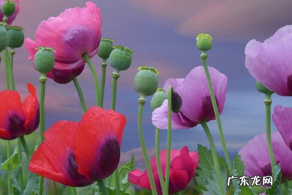 一万元怎么创业？一万元创业项目推荐