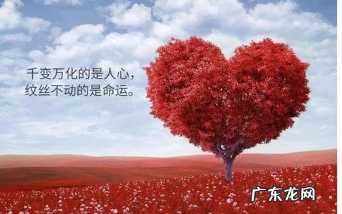 发朋友圈同学情谊的话 适合发朋友情谊的朋友圈