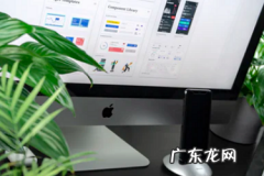 个人如何注册虾皮？虾皮是什么平台？