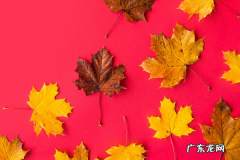 在家赚钱的十种方法，赚钱也可以很简单。