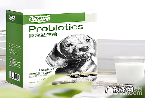 小狗胃肠不好如何调养,填补宠物益生菌回绝“夹层玻璃胃”