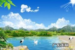 心无杂念心如止水是什么意思 心如止水是什么意思