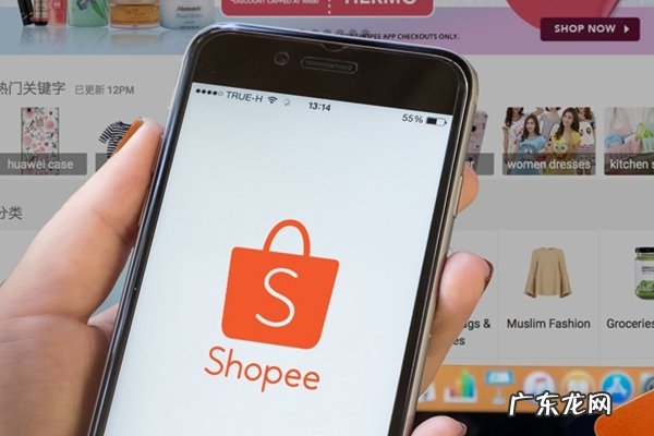 shopee面向什么市场？发展如何？