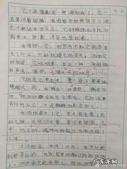 五官眼睛描写小练笔100字 描写五官的眼睛小练笔300字