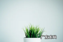 亚马逊测评是什么意思？如何理解？