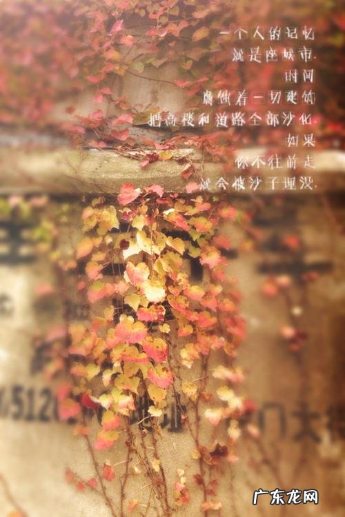 一段路一个人一种感悟 一个人一个城市的感悟