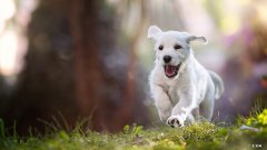 一天跳1000个跳绳能瘦吗 跳绳减肥，一天跳多少个多少时间才能瘦？