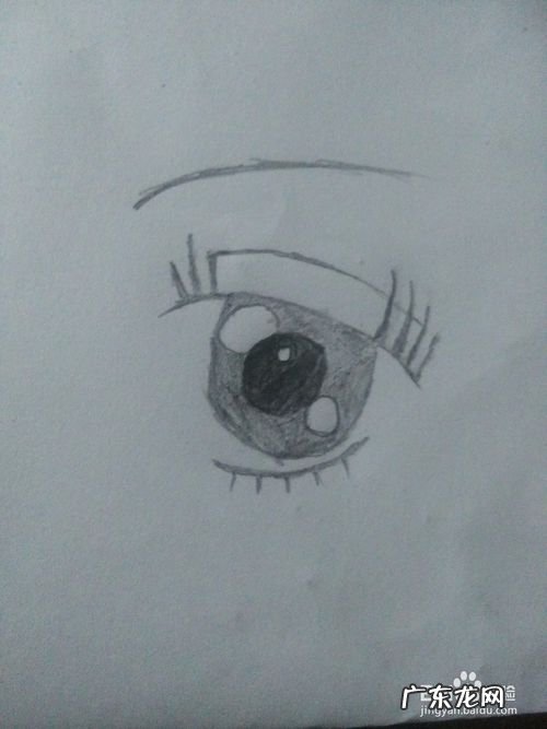 熊的眼睛怎么画才好看 眼睛怎么画才好看