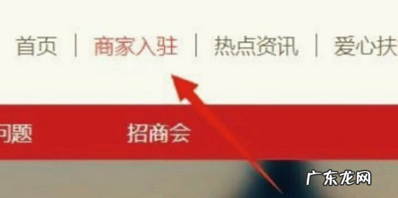 拼多多旗舰店怎么开?费用多少?