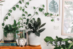 亚马逊前期大量铺货需要铺多少？越多越好吗？