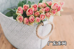 wish要交押金吗？开店要求是什么？