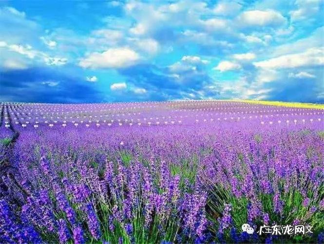 七月美文 11月的美文