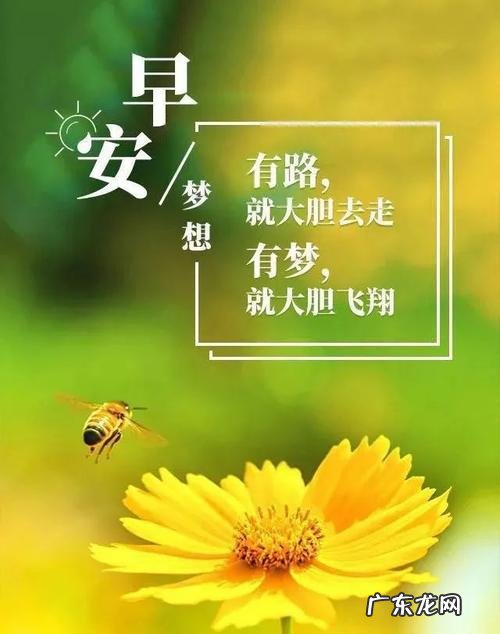 幼师正能量阳光的语录 阳光心情正能量语录