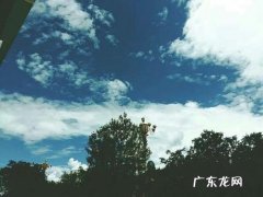 晴朗的夏日看图写话 晴朗的夏日写一段话