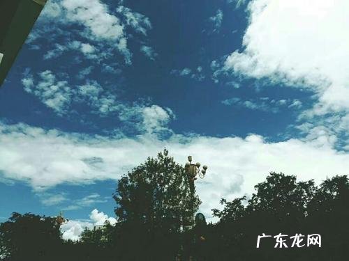 晴朗的夏日看图写话 晴朗的夏日写一段话