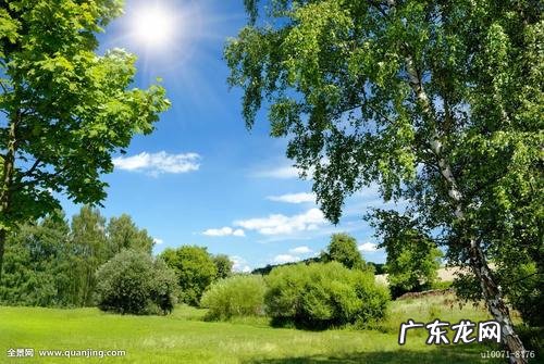 晴朗的夏日看图写话 晴朗的夏日写一段话