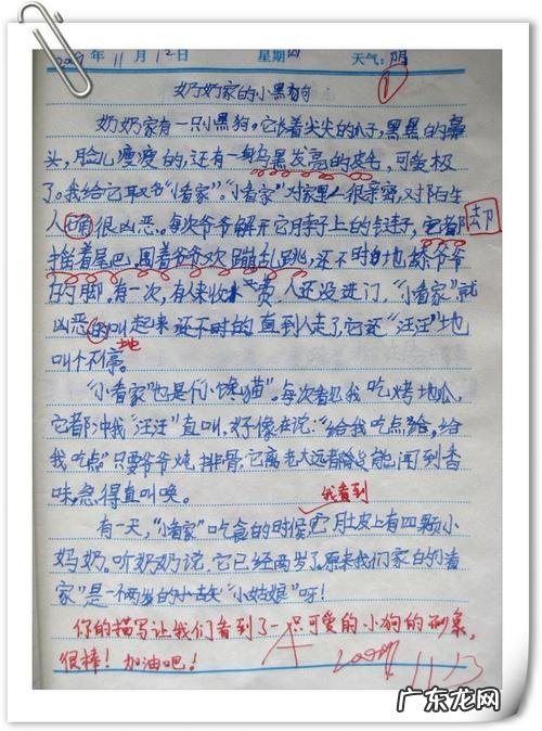 描写人的日记200字 描写风的日记50字