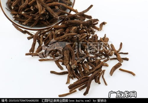 正宗蒲公英根的图片 蒲公英根的图片