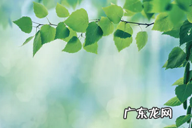 亚马逊日本站好做吗?有哪些困难?