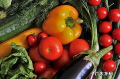 卵子排出后能存活多长时间-吃什么可以提高卵子质量