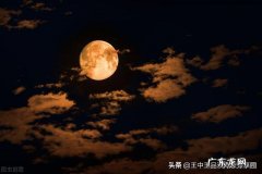 内心孤独无助却又无人倾诉的男生怎么追 内心孤独无助却又无人倾诉