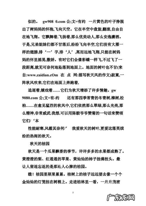 描写夜黑风高的片段 关于风的描写片段