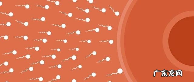 如何提高怀孕成功率?生男生女有妙招?怀孕了该运动还是养胎?你们想知道的在这里