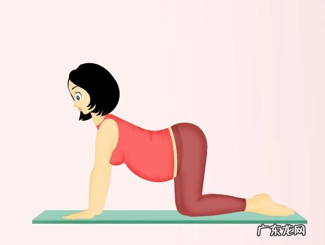 如何提高怀孕成功率?生男生女有妙招?怀孕了该运动还是养胎?你们想知道的在这里